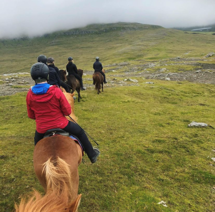 Rid & spis, rid og spis, færøerne torshavn berghestar, berg hestar, heimablídni heimablidni velbastað velbastaður velbastad ride rideture bæredygtighed 